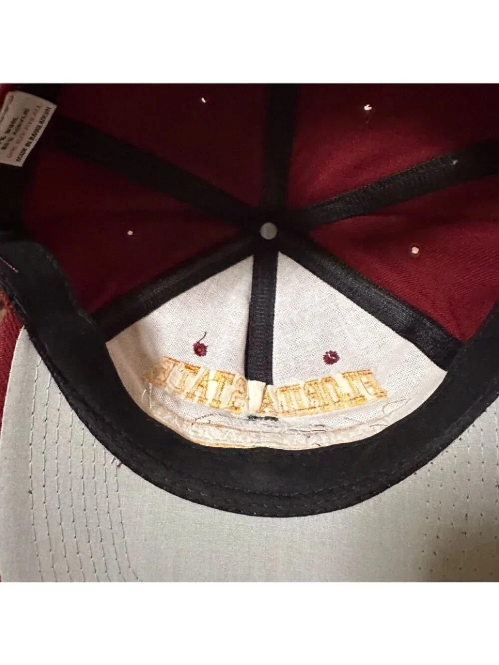 Vintage 1999 Florida State Seminoles National Champions Snapback Hat NCAA